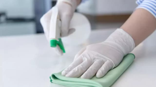  Cum Combat Hotelierii Mirosul de Aer Închis? Descoperă Metoda Naturală pentru Camere Parfumate