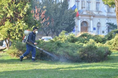 Dezinsecția în Brașov Reprogramată pentru 26-31 Mai din Cauza Vremii Neprielnice