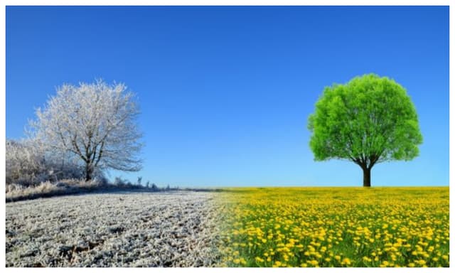  Scădere a Temperaturilor și Ușoară Încălzire ulterioară