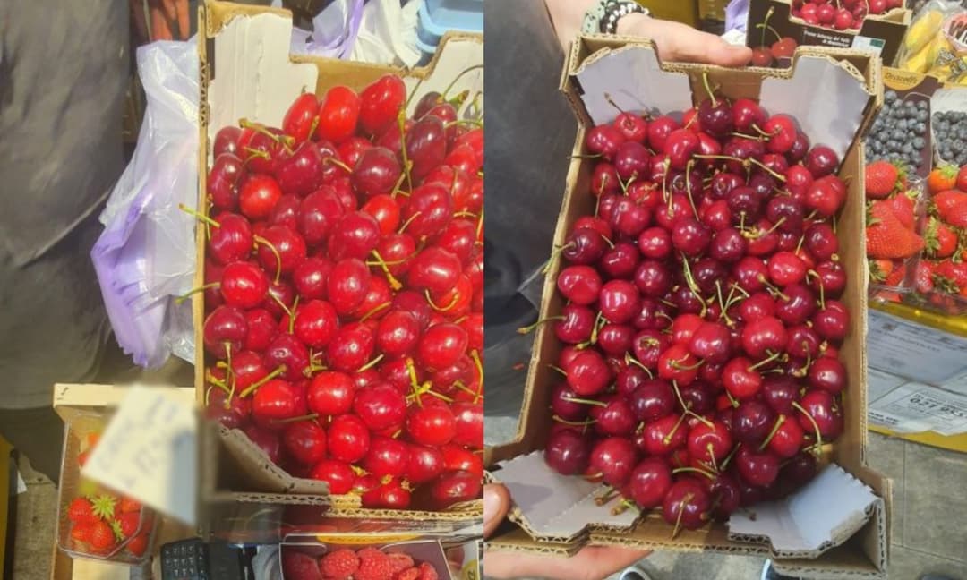 Descoperă Festivalul Cireșelor în Parcul Lacul Noua, cu Delicii și Distracție Asigurate