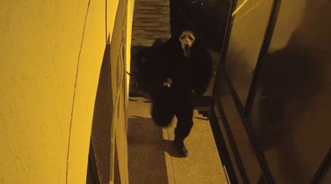  Hoții de la Cazinoul din Brașov au fost Prinși de Poliție