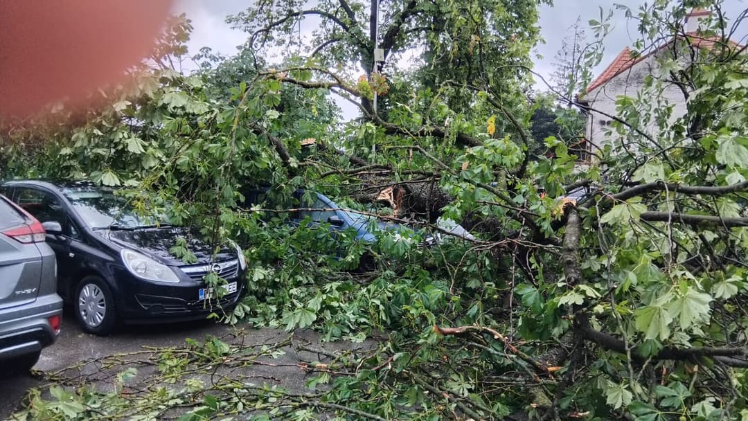 DN 1, Braşov-Ploieşti, închis! Copaci doborâţi şi inundaţii severe în urma furtunii devastatoare